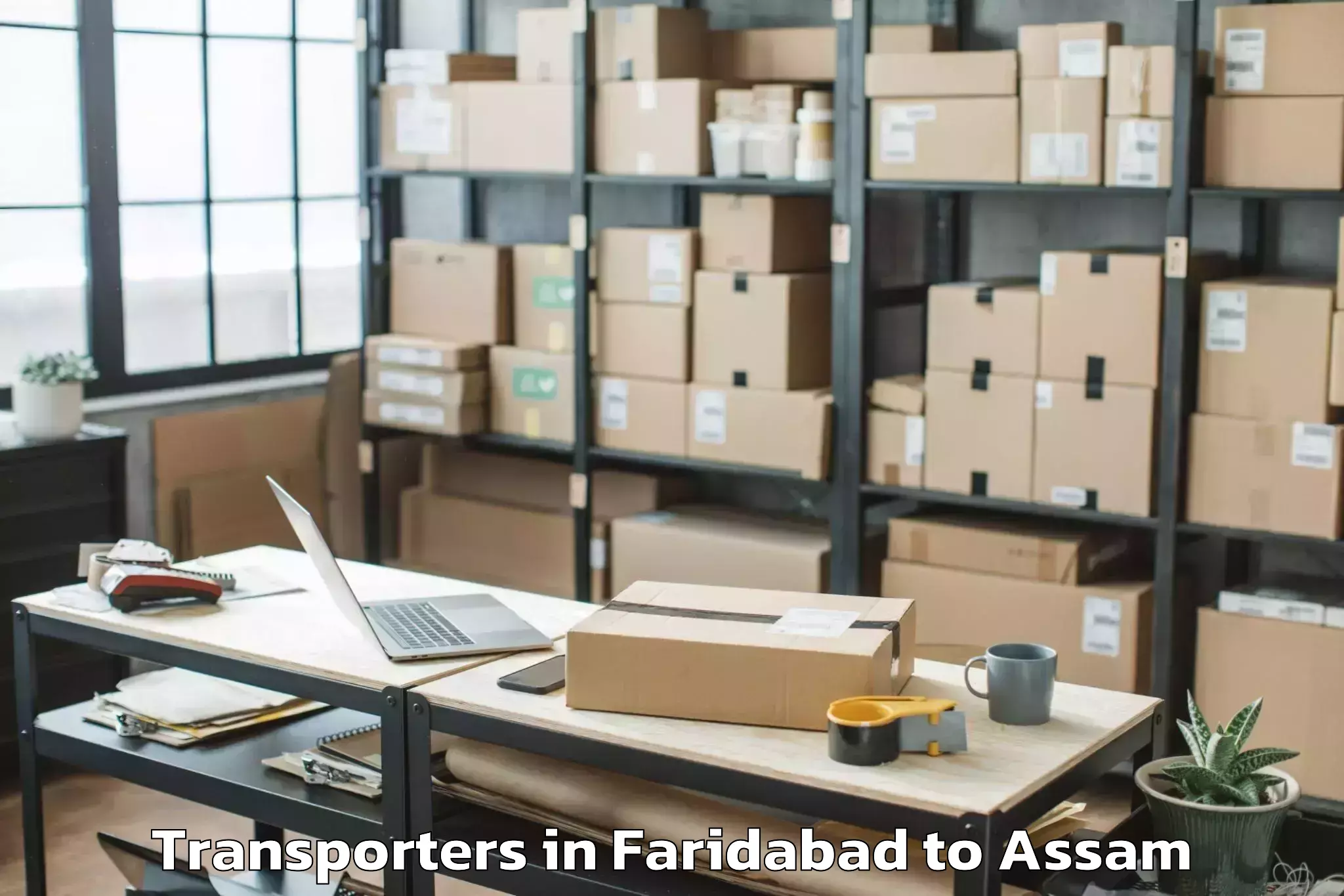 Comprehensive Faridabad to Laharighat Transporters